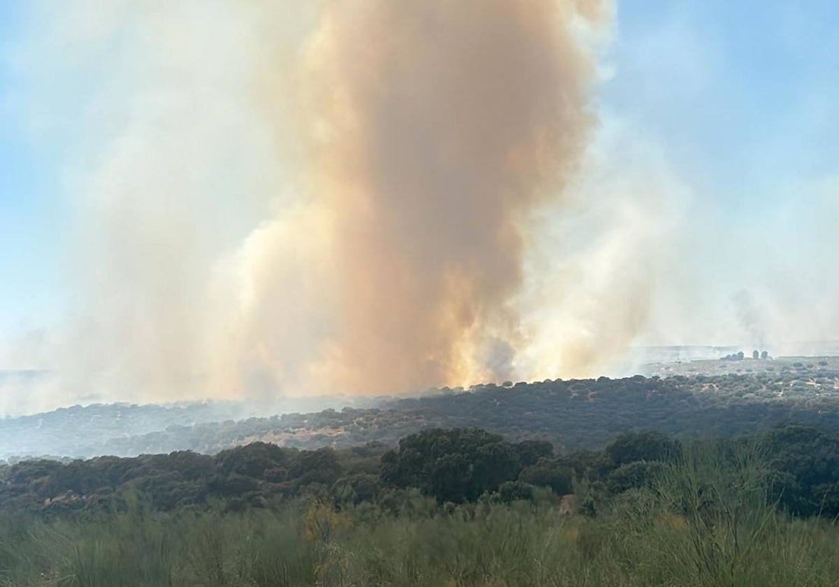 Imagen del incendio en la planta fotovoltaica de Talaván, el pasado sábado.