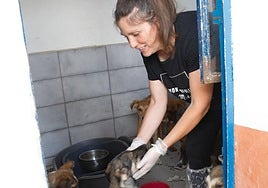 Laura Varaldi, gerente del refugio, con los cachorros abandonados en la ermita de Santa Lucía