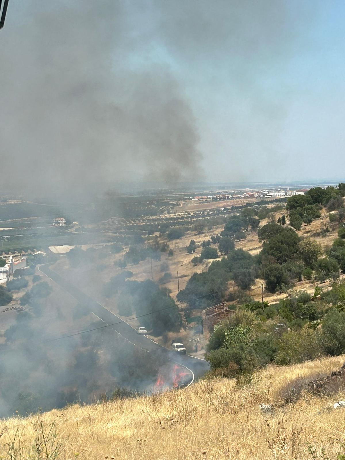 Llamas en el incendio localizado en la población de Alange. 