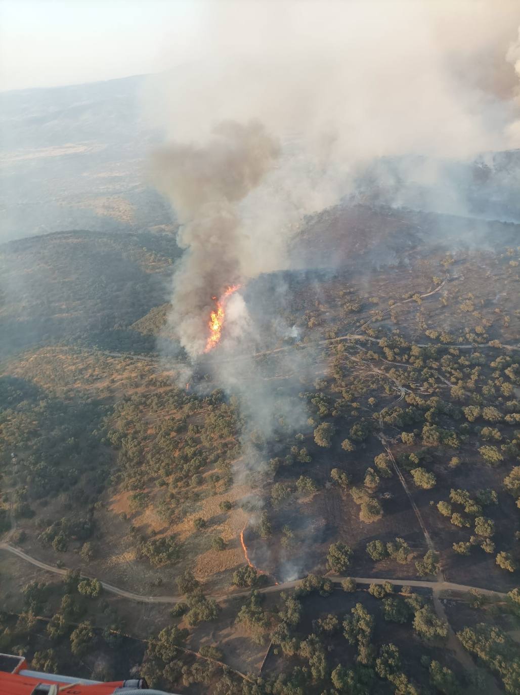 Incendio forestal registrado en el término municipal pacense de Puebla del Maestre