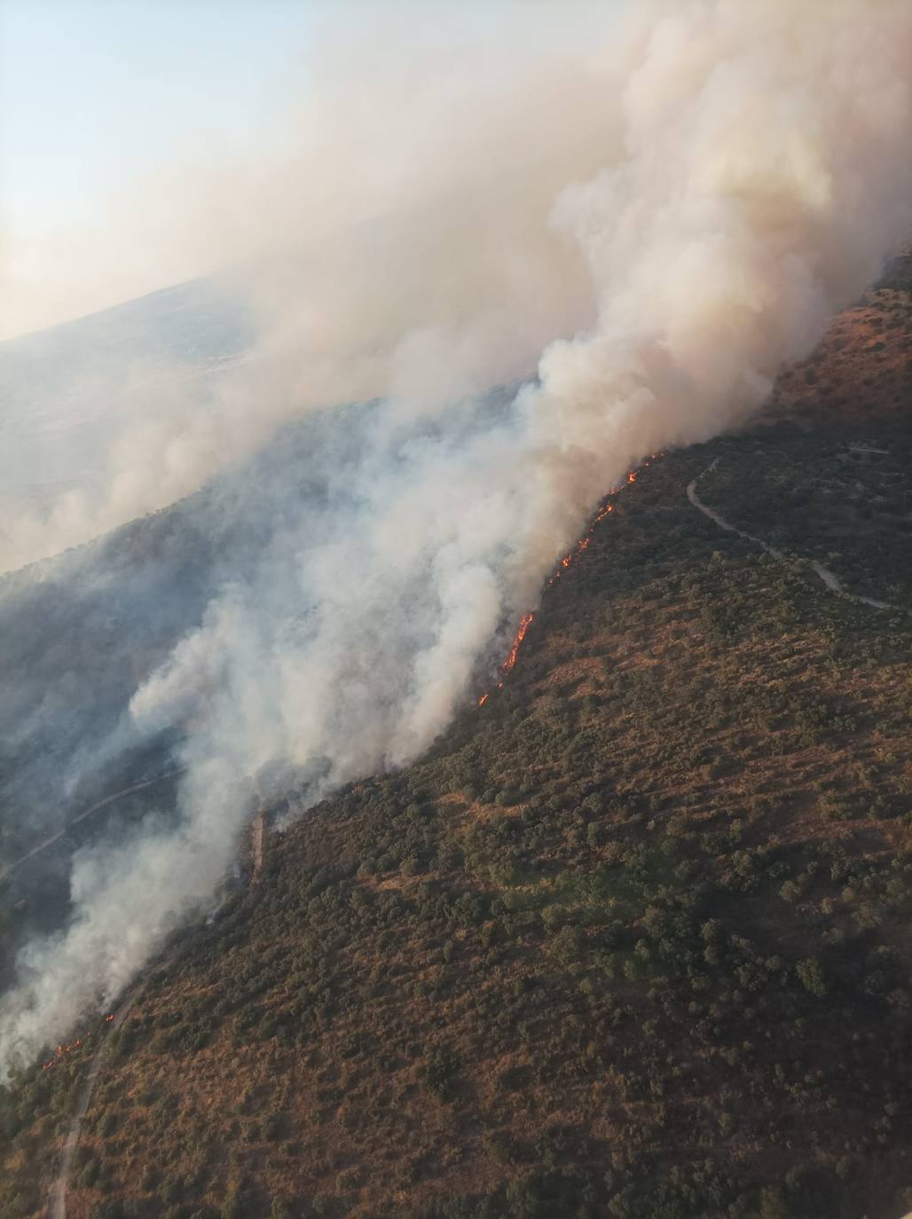 Incendio forestal registrado en el término municipal pacense de Puebla del Maestre