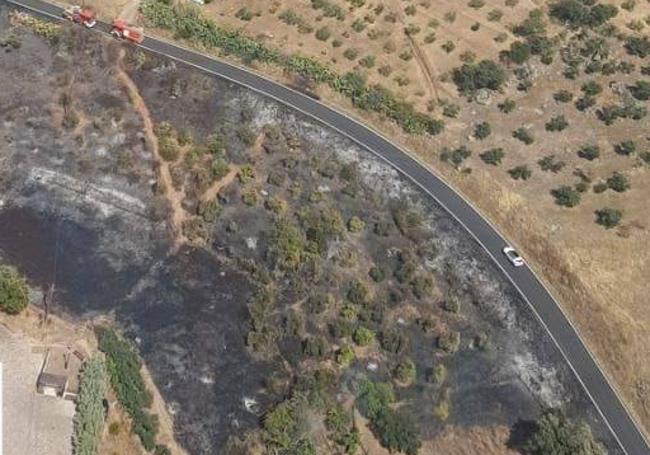 Área afectada por el incendio de la población de Alange.