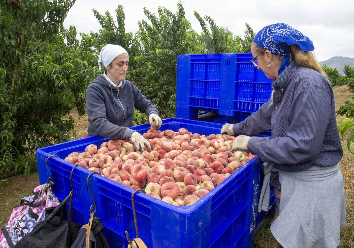 El sector primario ha creado más de 11.000 empleos en el segundo trimestre del año.