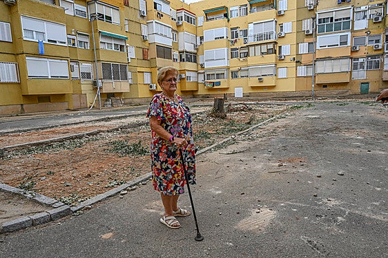 La tala de árboles divide a los vecinos de La Paz, que reclaman nuevas aceras