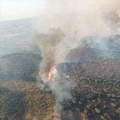 Badajoz, la provincia española con mayor número de grandes incendios forestales en 2024