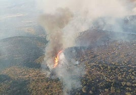 Incendio forestal registrado en el término municipal pacense de Puebla del Maestre