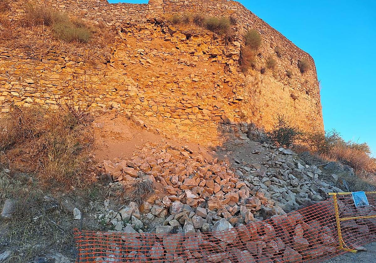 Imagen principal - Arriba y a la izquierda estado en que se halla el lienzo de muralla derrumbado. A la derecha, higuera brava que ha crecido en otro tramo de la muralla y que sigue deteriorándola.