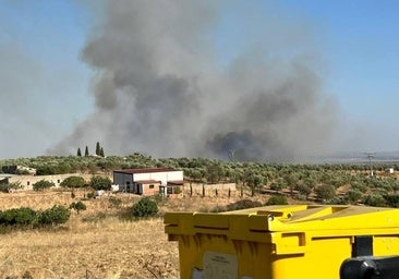 Desactivado el nivel 1 de peligrosidad por el incendio forestal de Benquerencia de la Serena