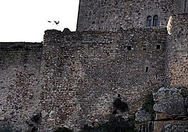 Estado lamentable de los lienzos de murallas