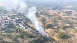 Incendio forestal en Perales del Puerto.