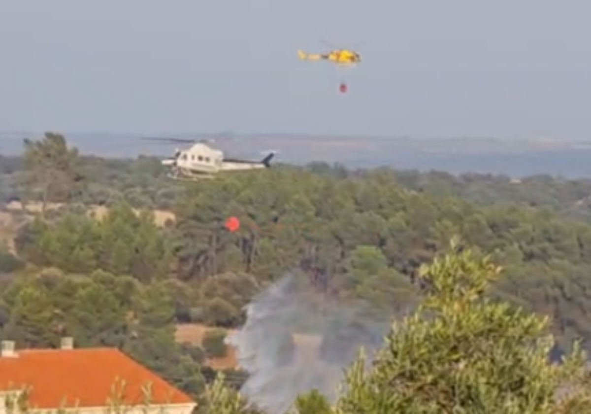 Incendio a la entrada de Perales del Puerto por Moraleja