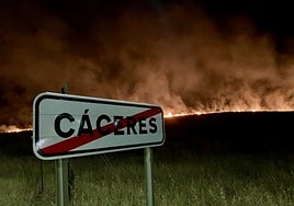 Imagen de las llamas hacia las once de la noche del domingo, desde la N-630, que fue cortada al tráfico.