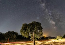 Perseidas vistas desde la dehesa extremeña.