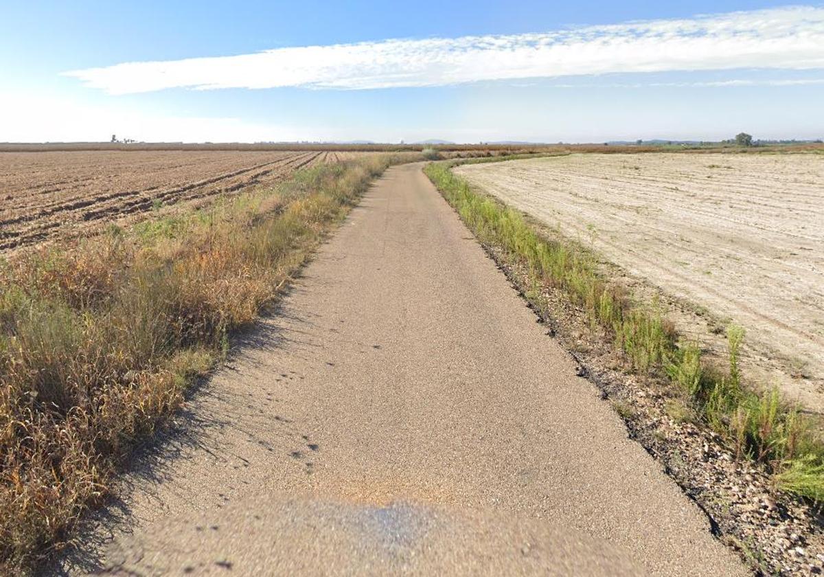 Vía en la que ha tenido lugar el siniestro vial.