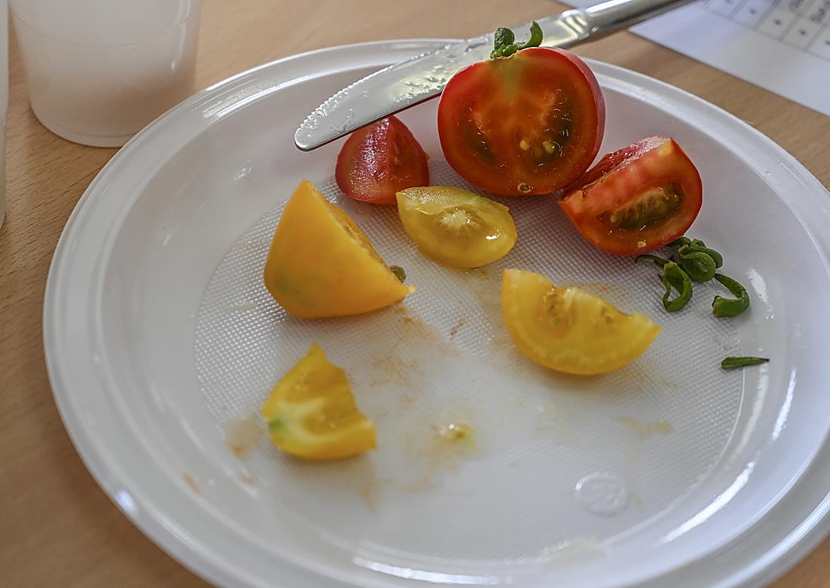 Imagen secundaria 1 - En busca del tomate del huerto del abuelo
