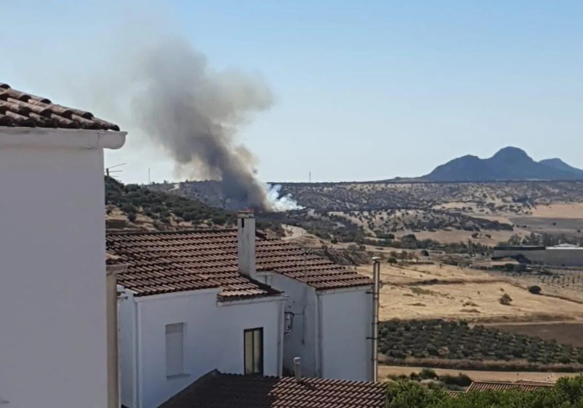 El incendio forestal de Alange, en imágenes