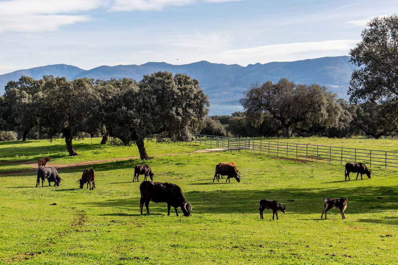 Fotos | De Cáparra a Plasencia: ruta por la Vía de la Plata y la Vía Verde