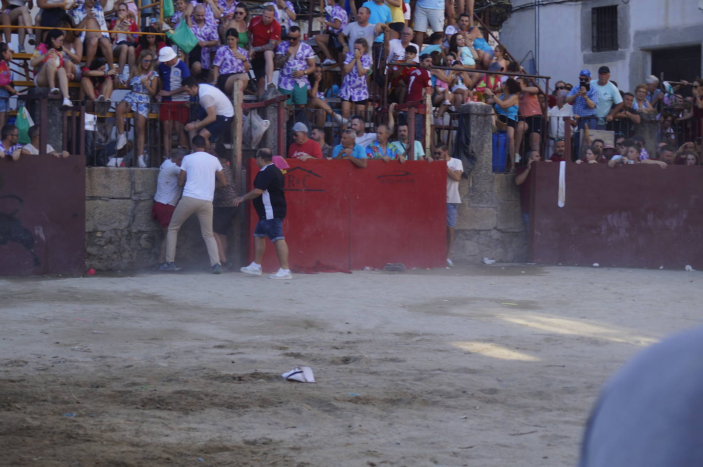 Así fue la cogida del toro durante las fiestas de Cuacos de Yuste