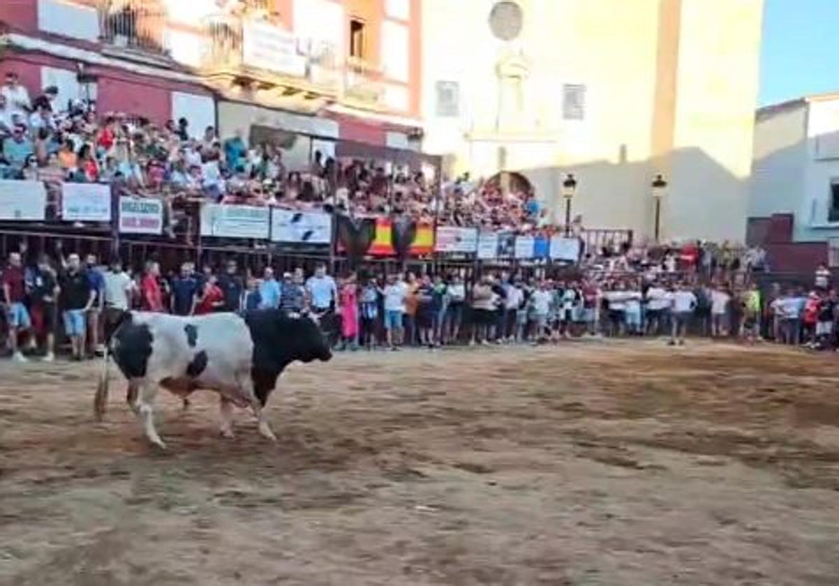 La cogida se produjo solo un minuto después de la suelta de Rondito en al plaza.