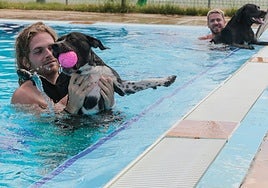 Perros en la piscina Guadiana en una cita anterior.