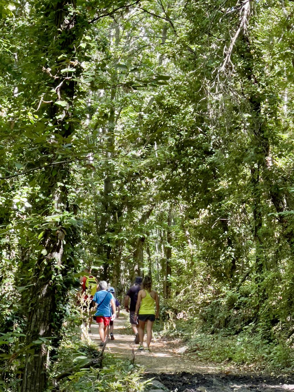 Muchas personas se animan a hacer rutas y disfrutar de la naturaleza. A. J. A.