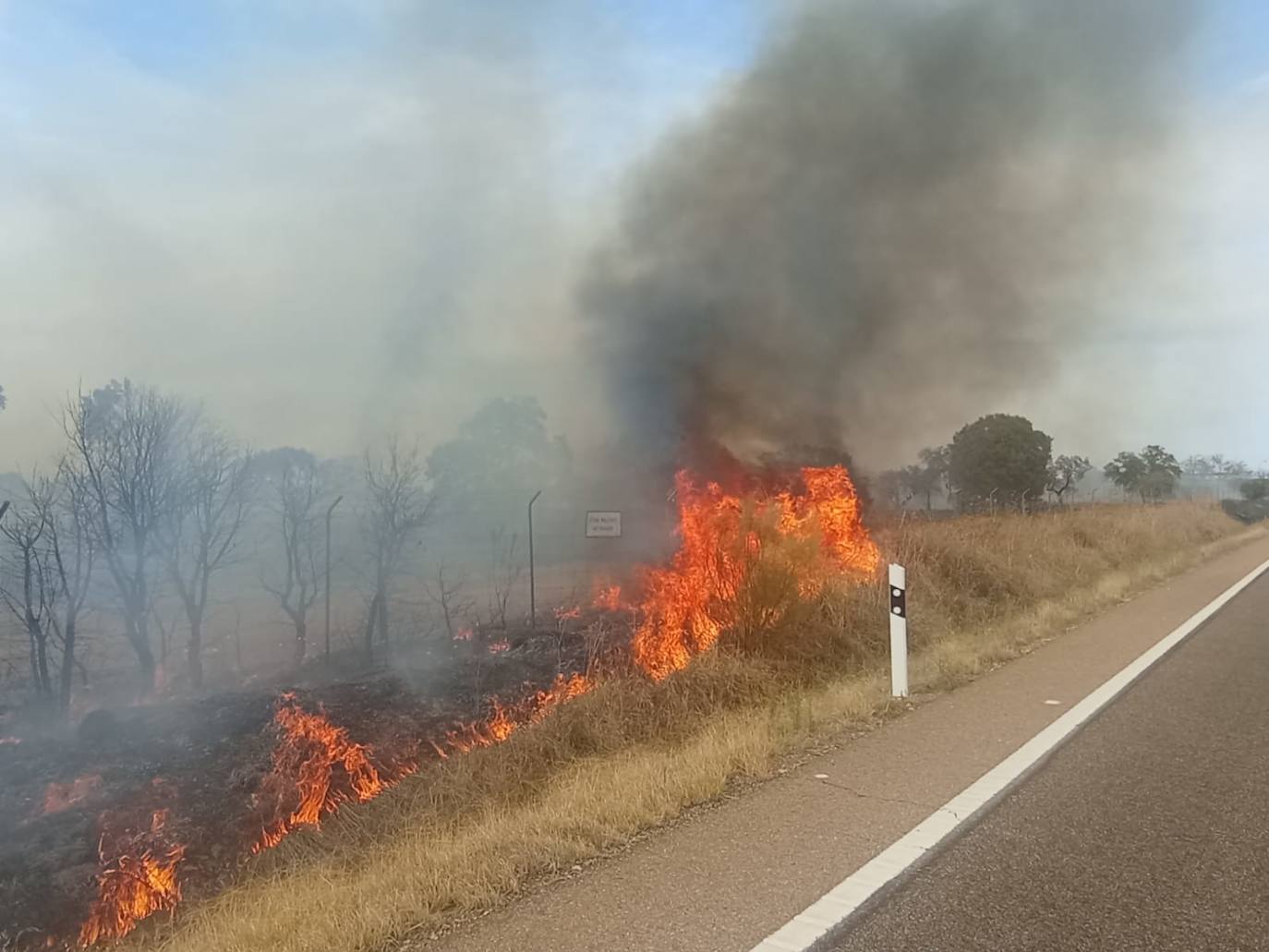 El incendio de Badajoz, cerca del cuartel de Bótoa, en imágenes