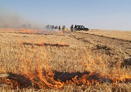 La práctica de la quema de rastrojos lleva prohibida en Extremadura desde el año 2016.
