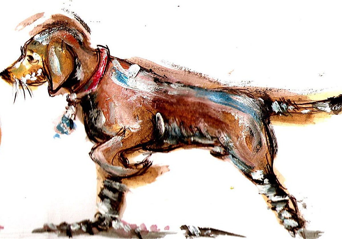 Adolescentes protestando con perros borrachos