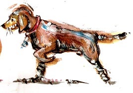 Adolescentes protestando con perros borrachos