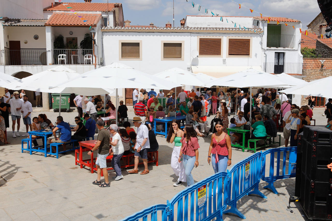 Fotos | Las mejores imágenes de la Fiesta de la Tenca en Navas del Madroño