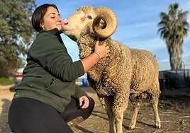 Ángela del Carmen Santiago, con uno de los carneros de su explotación ganadera.