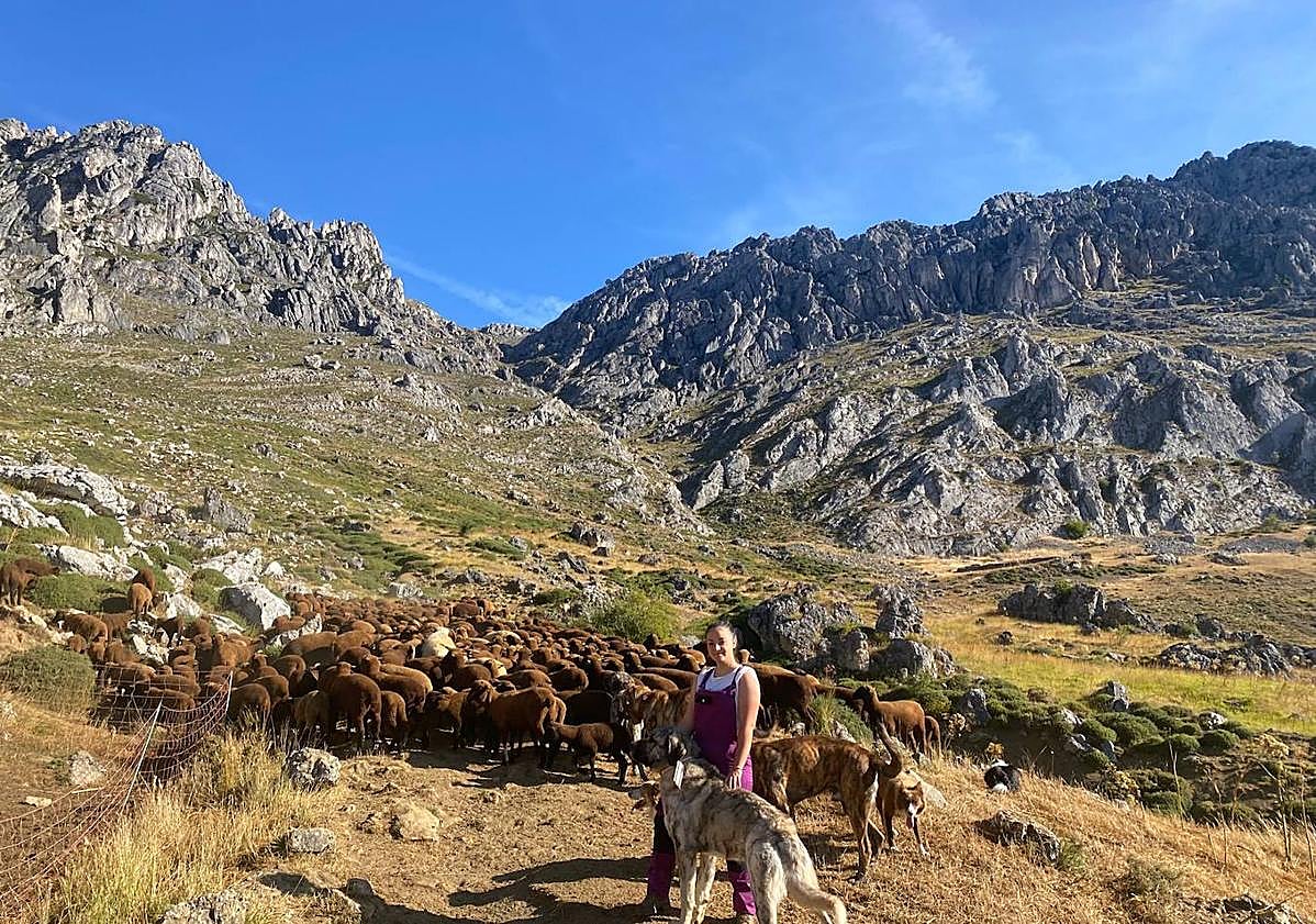 Imagen principal - Arriba, panorámica de Ángela Santiago junto a su ganado en los montes de León. Abajo, la ganadera dando de mamar a corderos merinos y junto a su pareja, Daniel Cañón, en uno de los certámenes ganaderos de Zafra.