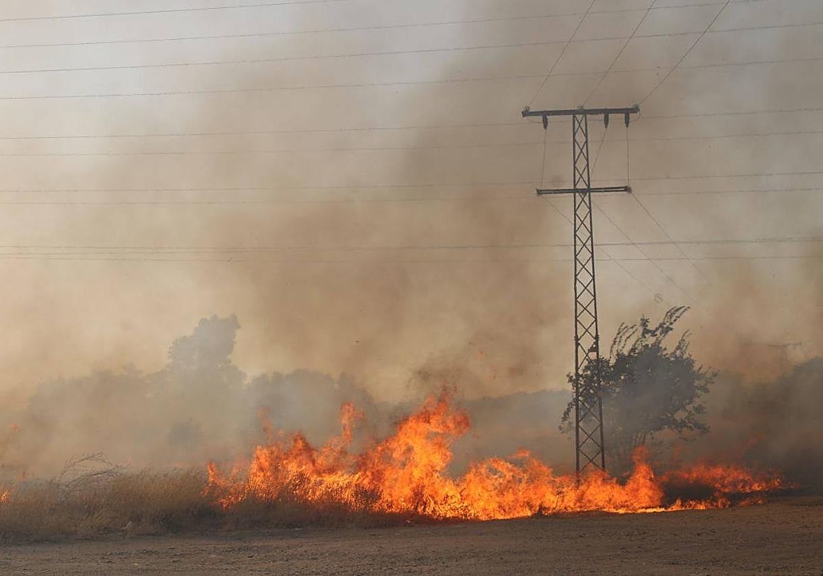 Pasto ardiendo junto a la explanada del mercadillo de los martes.