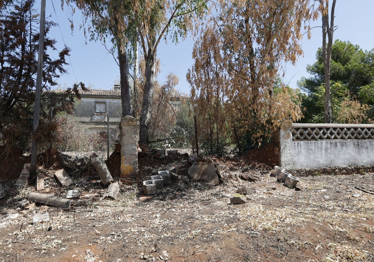 Estado ruinoso de los accesos al colegio público de Educación Especial Proa, situado en Aldea Moret.