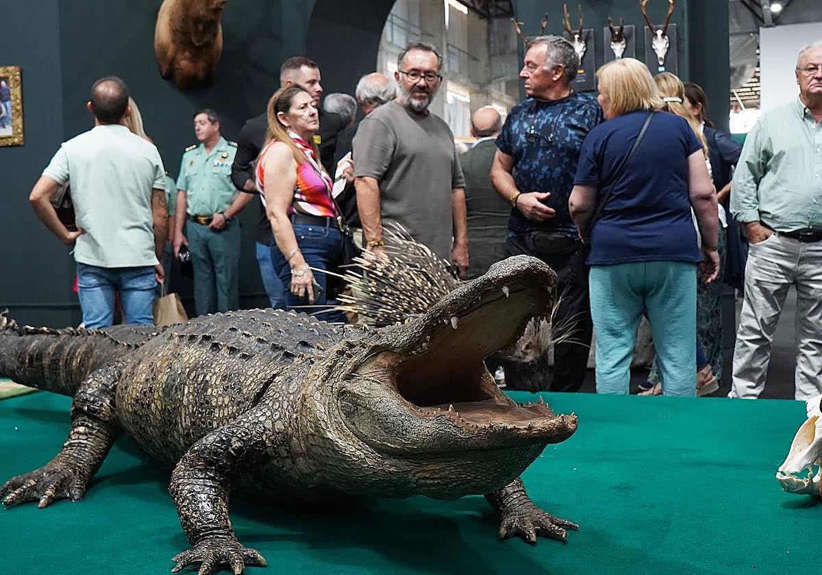 La exposición de trofeos de caza es uno de los grandes atractivos de la feria.