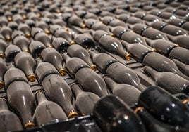 Botellas de cava en la nueva bodega de la familia Martínez Paiva en Almendralejo.