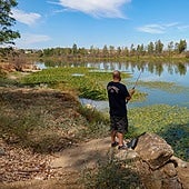 Los pescadores de Badajoz denuncian que el nenúfar invade Las Baldocas