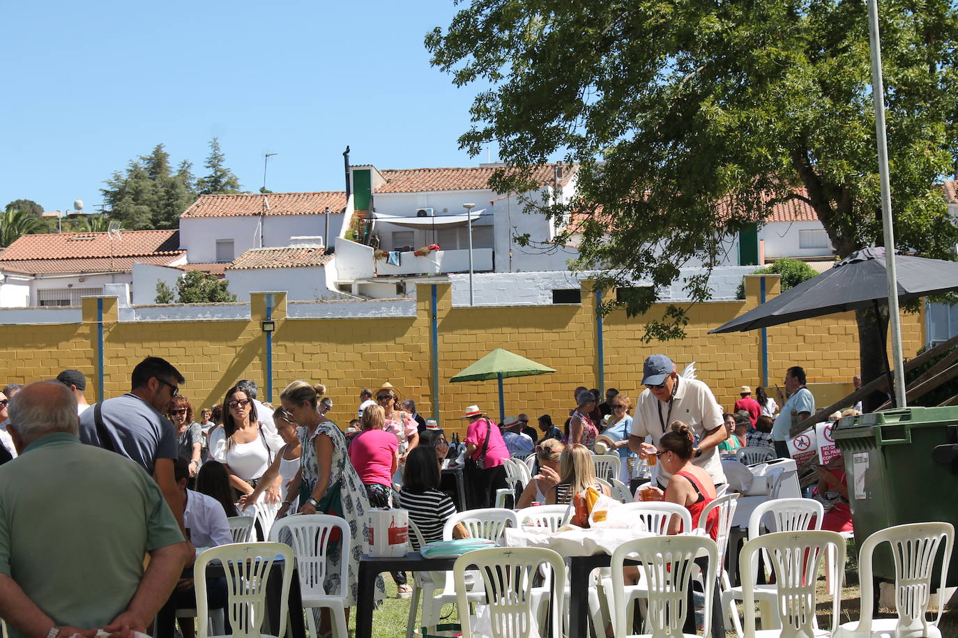 El Día del Jamón en Monesterio | Fotos