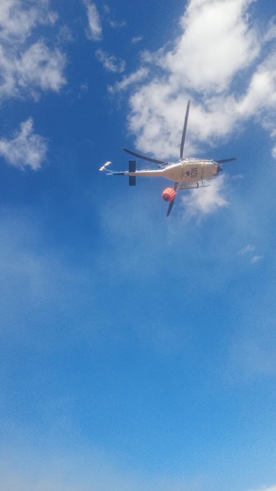 El incendio forestal de Villasbuenas de Gata, en imágenes