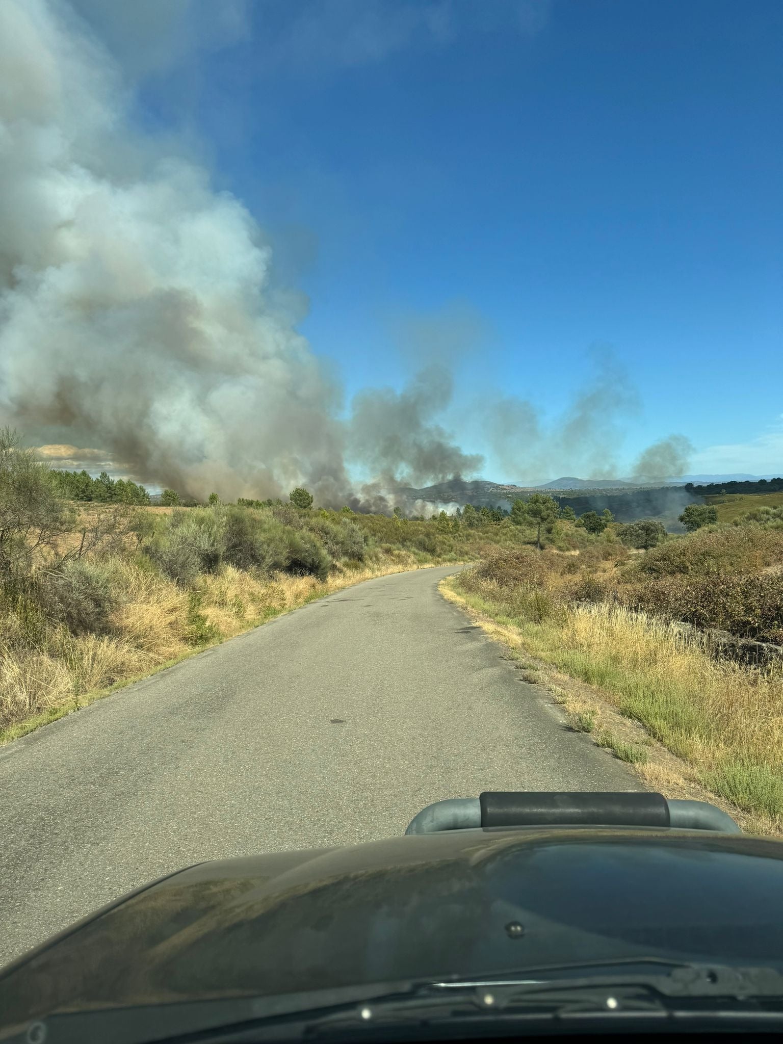 El incendio forestal de Villasbuenas de Gata, en imágenes