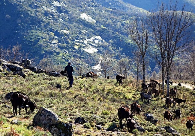 Paisaje de montaña de la reserva natural.