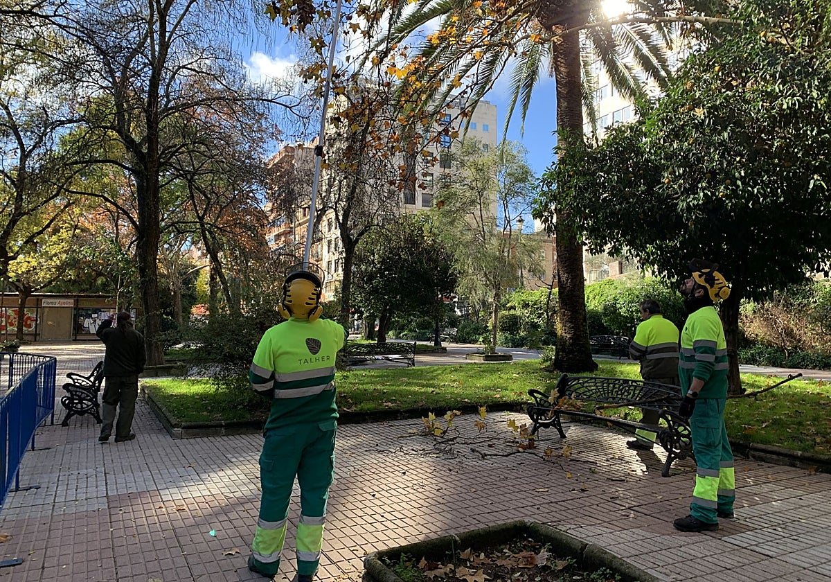 Operarios de la contrata de jardines, Talher, intervienen en la parte baja de Cánovas.