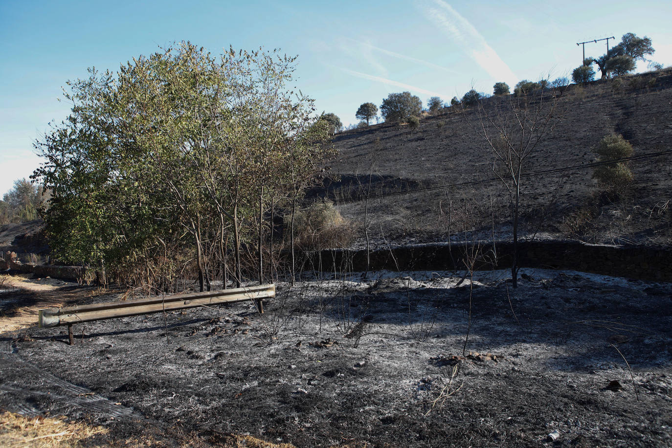 Así afectaron las llamas al Paseo Alto y al campamento romano