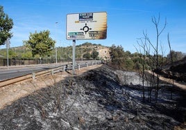 Así afectaron las llamas al Paseo Alto y al campamento romano