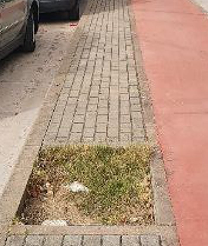 Imagen secundaria 2 - Suciedad en Vegas del Mocho, tras el mercadillo; arboles arrancados y pavimento en mal estado.