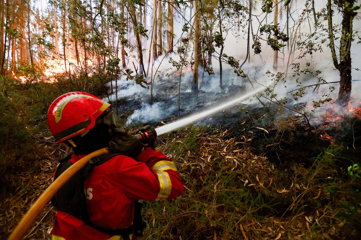 Los incendios de Portugal, en imágenes (II)