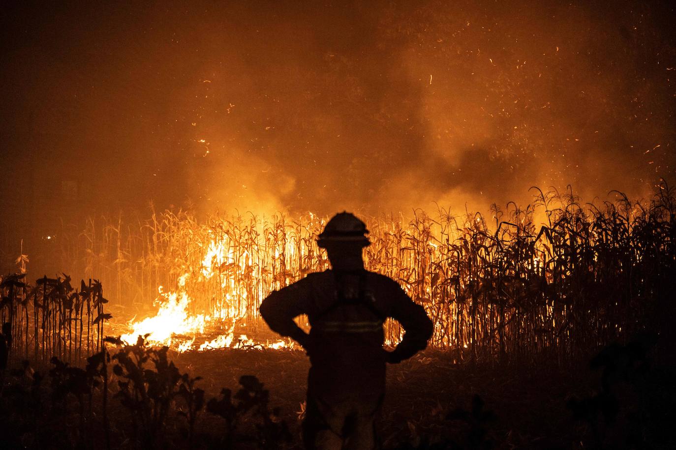 Los incendios de Portugal, en imágenes