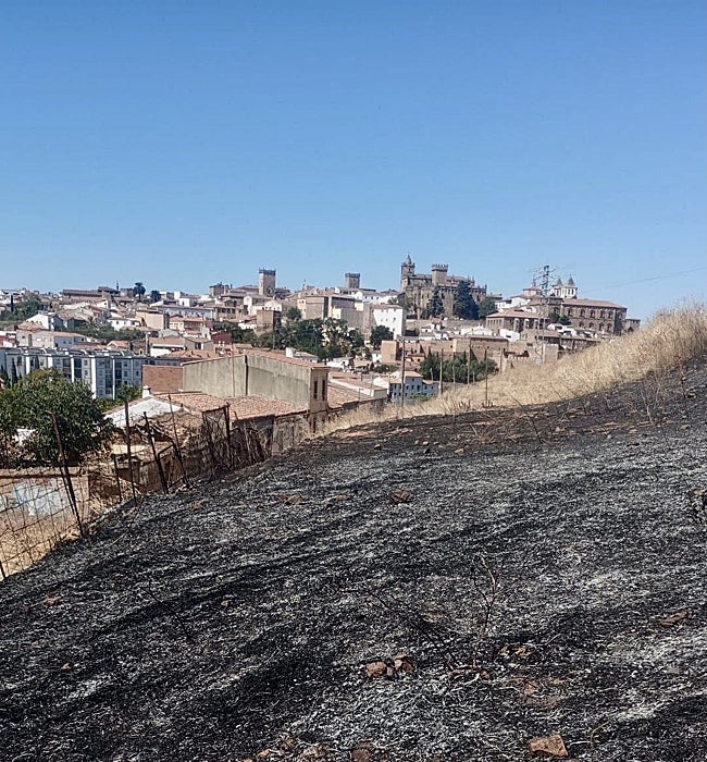 Terreno quemado en el Alto de Fuente Fría.