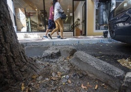 Estado de uno de los alcorques de la avenida de Portugal de Cáceres.