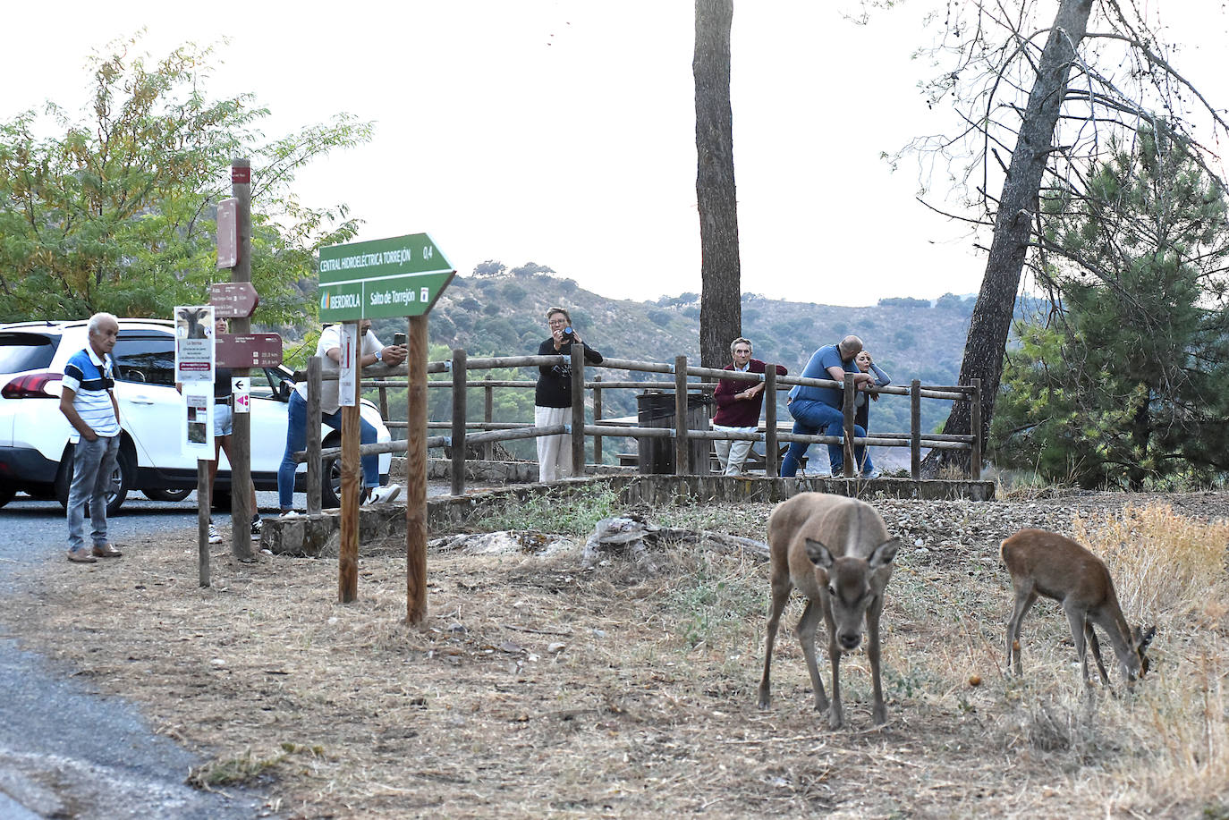 Visitas a Monfragüe para contemplar la berrea